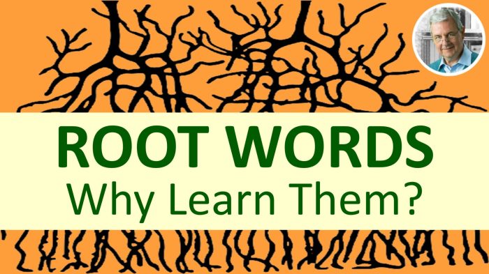 Root words word roots vocabulary reading latin activities students voc rootwords vis vid bookunitsteacher flipchart