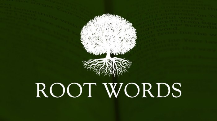 Words with the root word cand