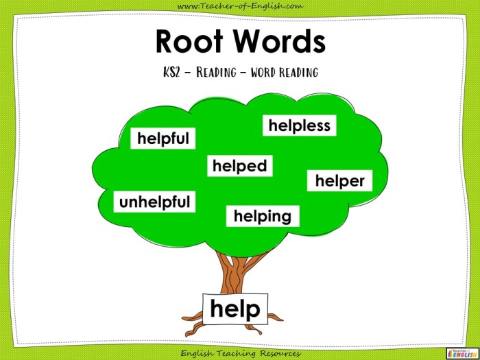 Vocabulary root