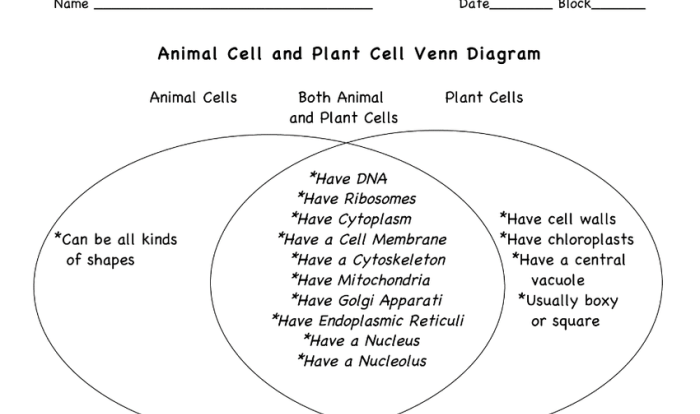 Venn diagram for plants and animals