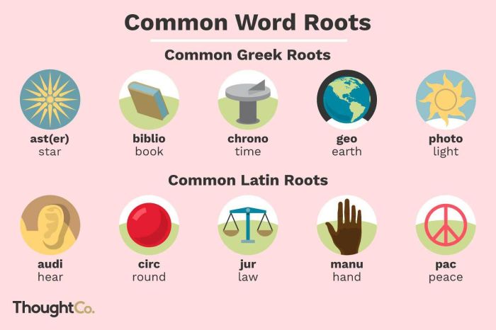 Words with the root word cand