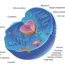 Portage learning microbiology module 1 exam