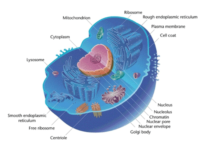 Portage learning microbiology module 1 exam