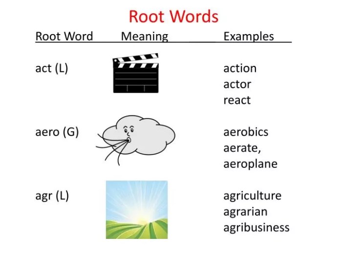 Words with the root word cand