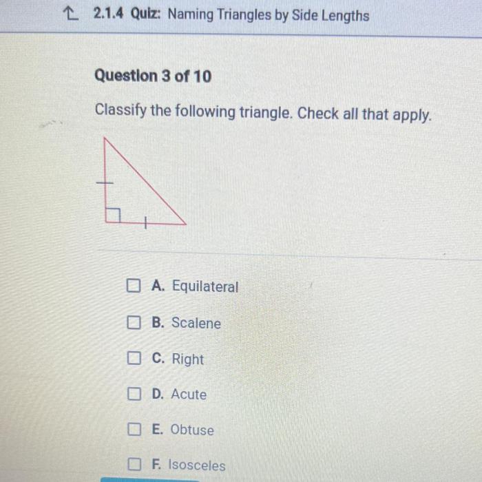 Classify the following triangle. check all that apply.