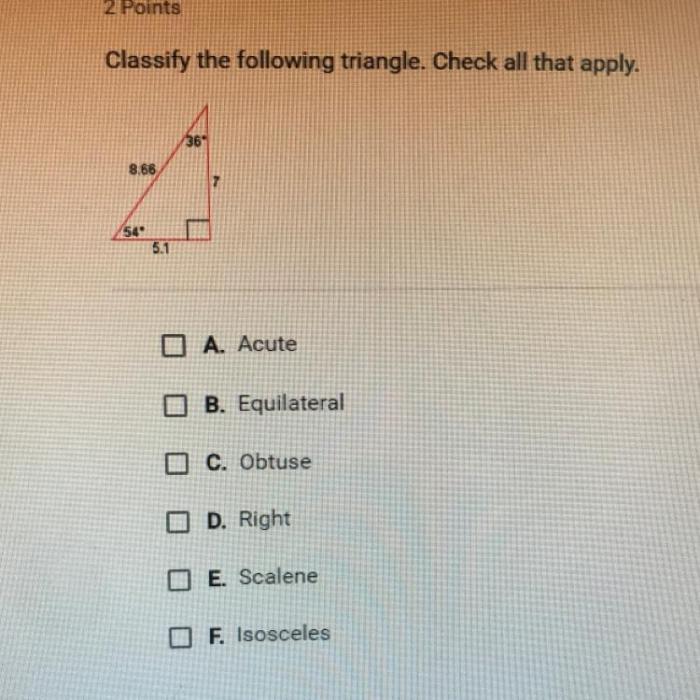 Classify the following triangle. check all that apply.